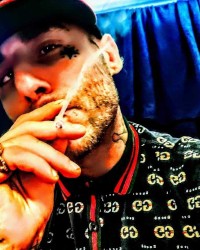 The Italian Stallion-Poetey & Politics photo