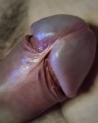 Il mio cazzo duro pronto a sborrare photo