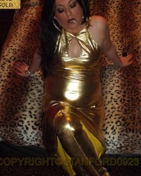 558 SHIRLEY SLUT photo