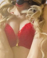 Blondie X69 photo