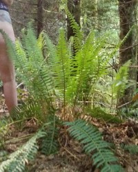 Hot couple hot ass titties and cock photo