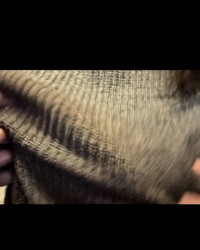 Cozy Tits in rough Hands (by Missy x) photo