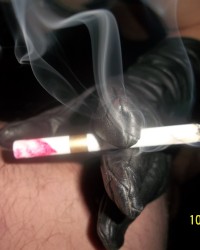 351 SHIRLEY SLUT photo