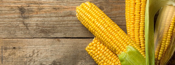 corn is a fruit photo