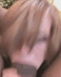 Assorted Gifs & Pics 70 photo