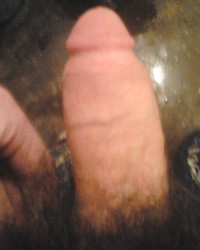 BIG DICK ALBANIA photo
