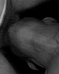 Joes self pics photo