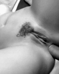Anal gifs/pics photo
