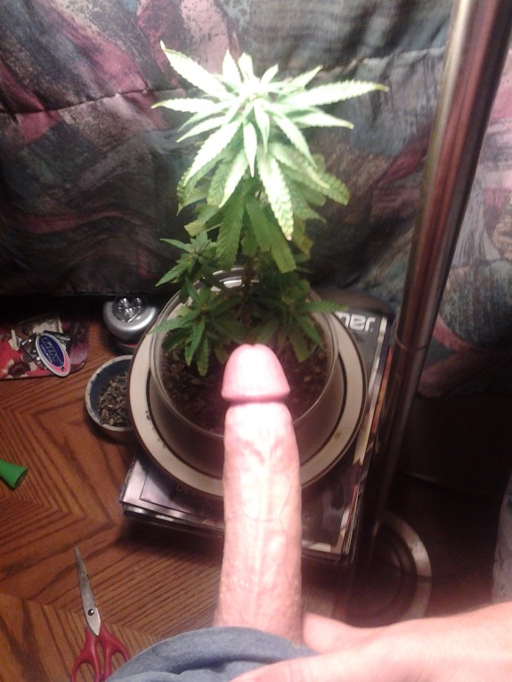 My dick