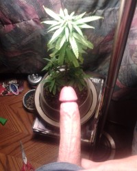 My dick photo