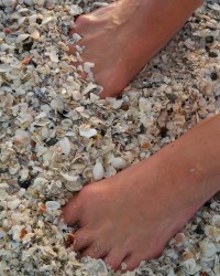 Toe SWAG. This little piggy had roast beef... photo