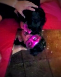 Halloween Whore photo