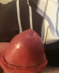 Dick Pics photo