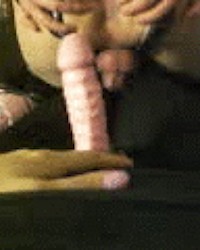 Shemale babes photo