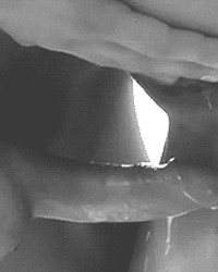 Assorted Gifs & Pics 61 photo