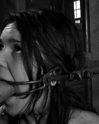 Assorted Gifs & Pics  photo