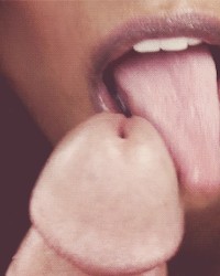 Oral sex gifs (dayum) photo