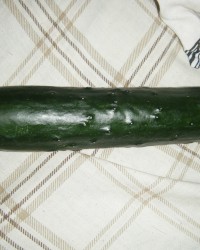 Cucumber fun photo