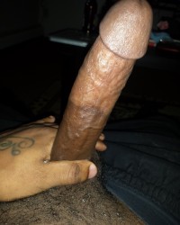 Pussy photo