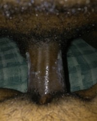 Dicking her wet pussy photo