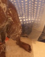 My Shower (GIF)