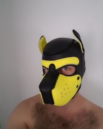 Dogboy Petplay Puppy Hood [Micah the Husky]