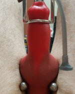 CBT Pup with Knotted Sheath