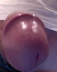 Album photo de ma grosse queue photo