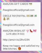 Paypigs and Findom