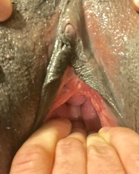 Wife's gapping pussy photo