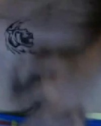 Daddy Daniel Web Cam Cock Tease photo