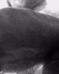 Fresh out the shower what u think? photo