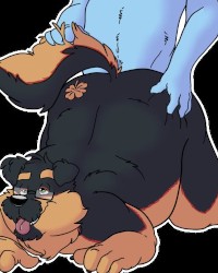 Fat Fluffies photo