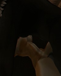 Gif Files From My Video Projects =^.^= photo