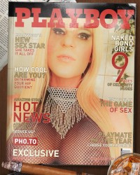TS Melissa Glamour photo