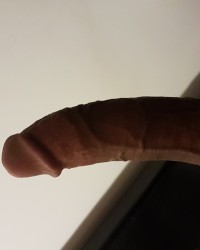 Morning Wood photo