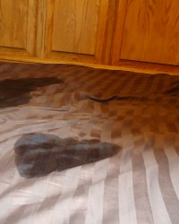 Some pictures from our first Video photo