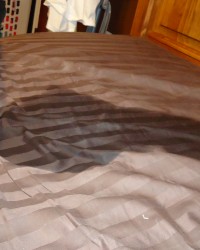 Some pictures from our first Video photo