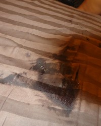 Some pictures from our first Video photo