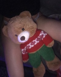 naughty teddy ;) photo