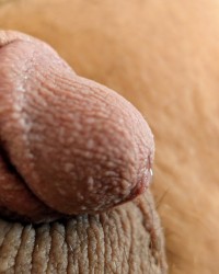 Feeling frisky photo