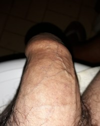 NovasFotos photo