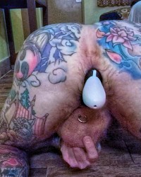 Inkbear photo