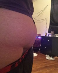 Asses photo