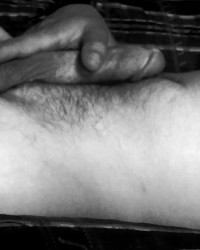 Black&Whites photo