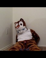 Tiger MAscot Costume