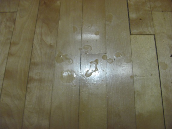 another B.B.B.randomizer!