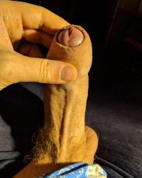 My Dick photo