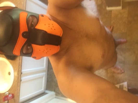 Pup scar