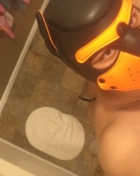 Pup scar photo